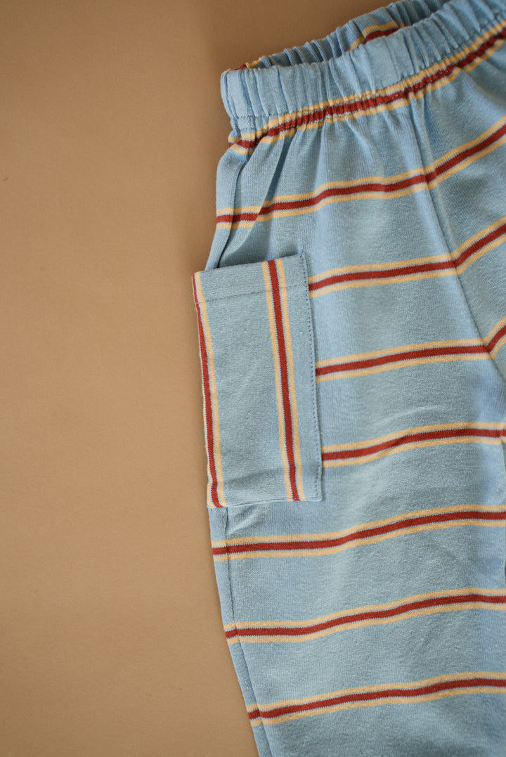 Cargo Pant - Blue Raspberry product detail
