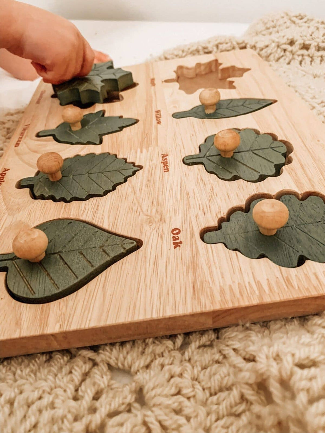 Montessori Leaf Puzzle