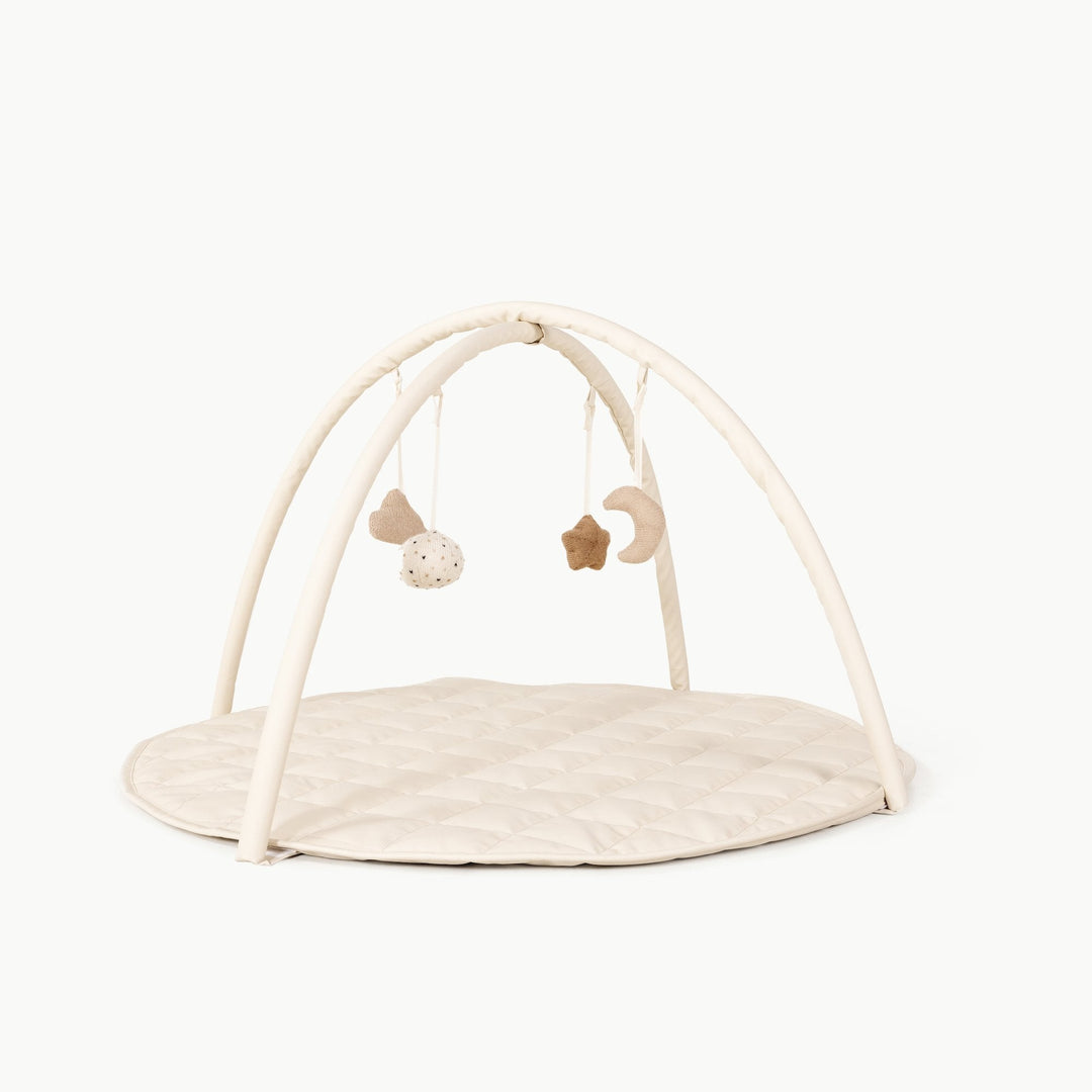 Baby Activity Gym - shopatlasgrey