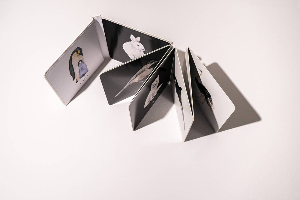 Black and White Contrast Book for Baby - shopatlasgrey