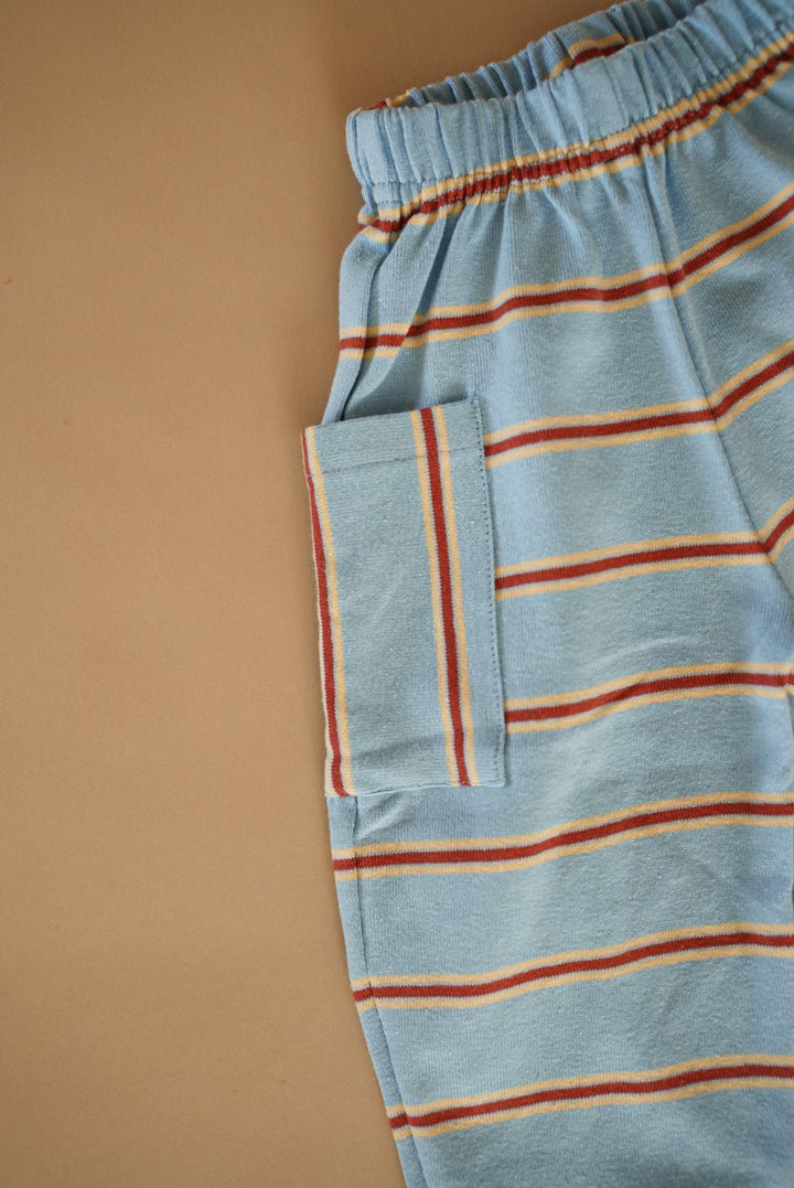 Cargo Pant - Blue Raspberry - shopatlasgrey