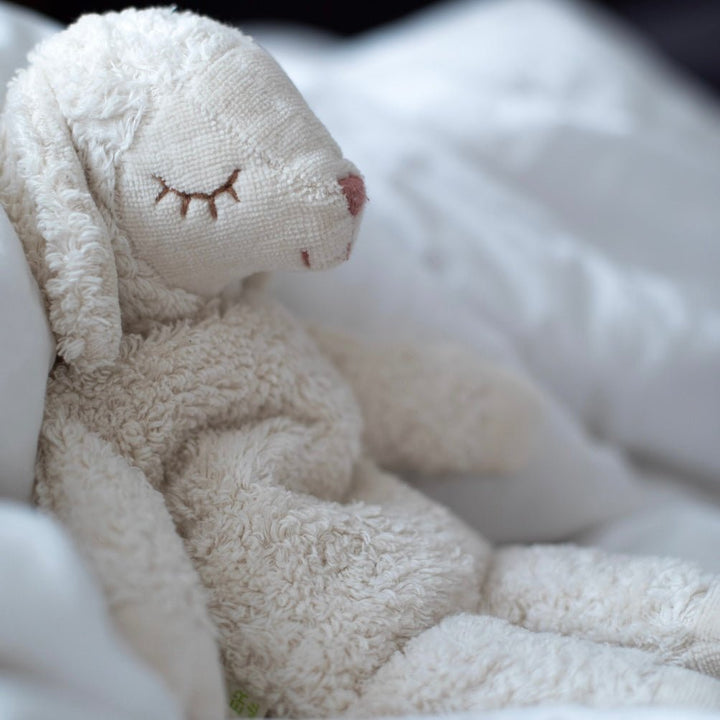 Cuddly Animals Lamb - shopatlasgrey