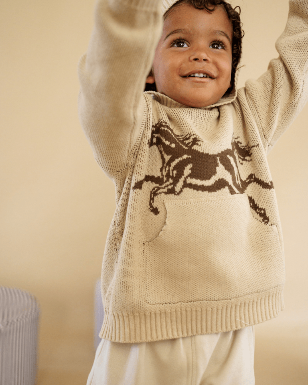 Horse Knit Hoodie - shopatlasgrey