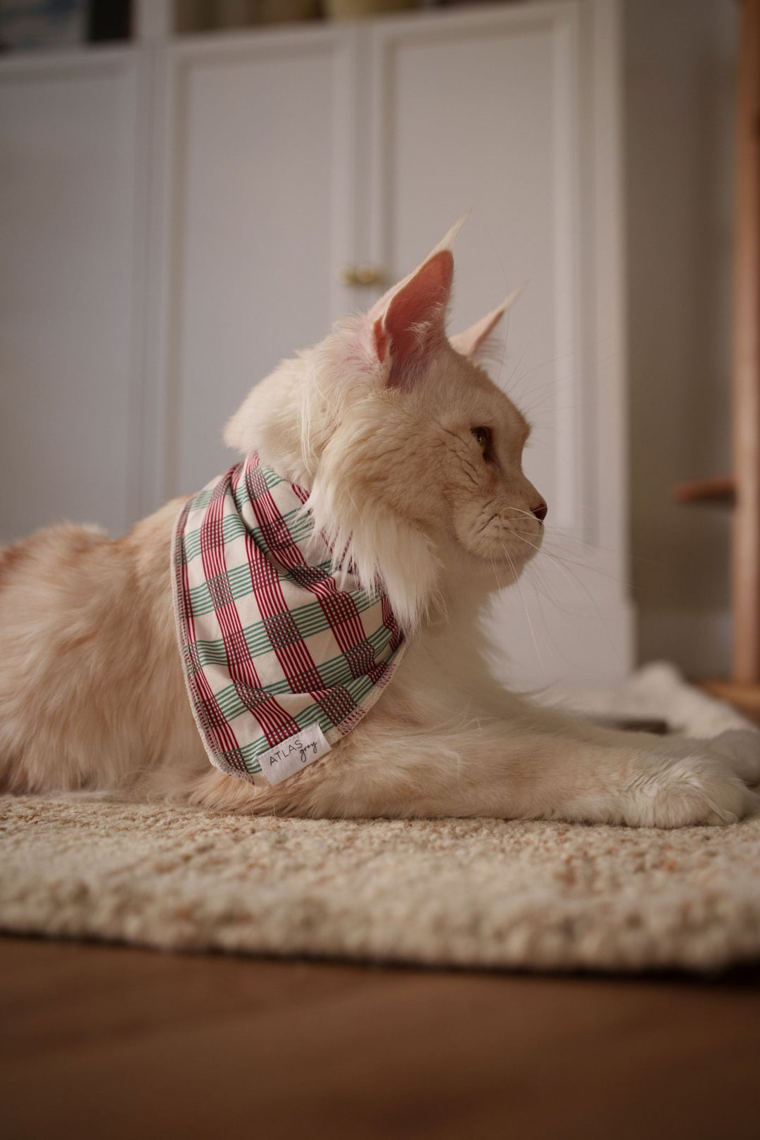 Pet Christmas Plaid Bandana - shopatlasgrey