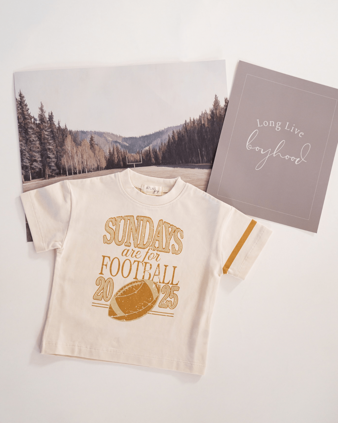 Sundays Are For Football T-Shirt - shopatlasgrey