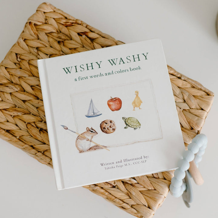 Wishy Washy: A Board Book of First Words and Colors - shopatlasgrey