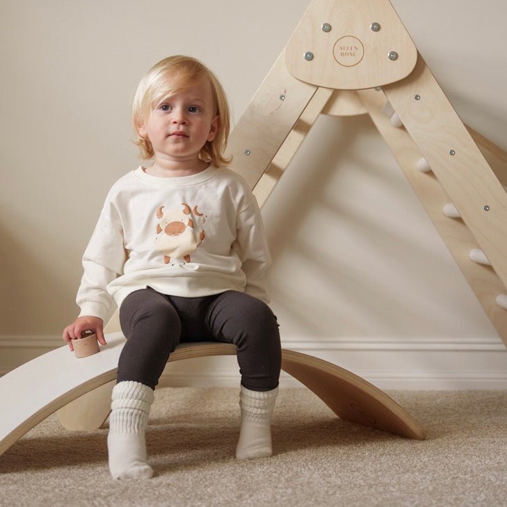 Zodiac Crewneck - shopatlasgrey